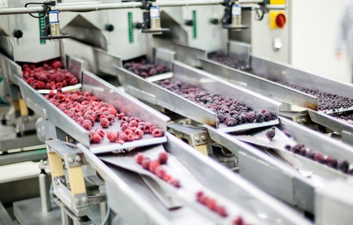 Food-Processing-uai